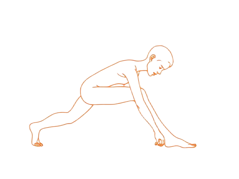 Continuous line drawing of figure in forward fold stretch — body rub article illustration