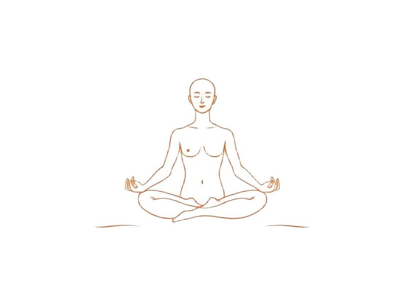 Continuous line drawing of lotus meditation pose — body rub terminology illustration